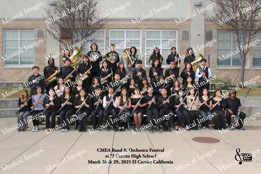 Musical Images